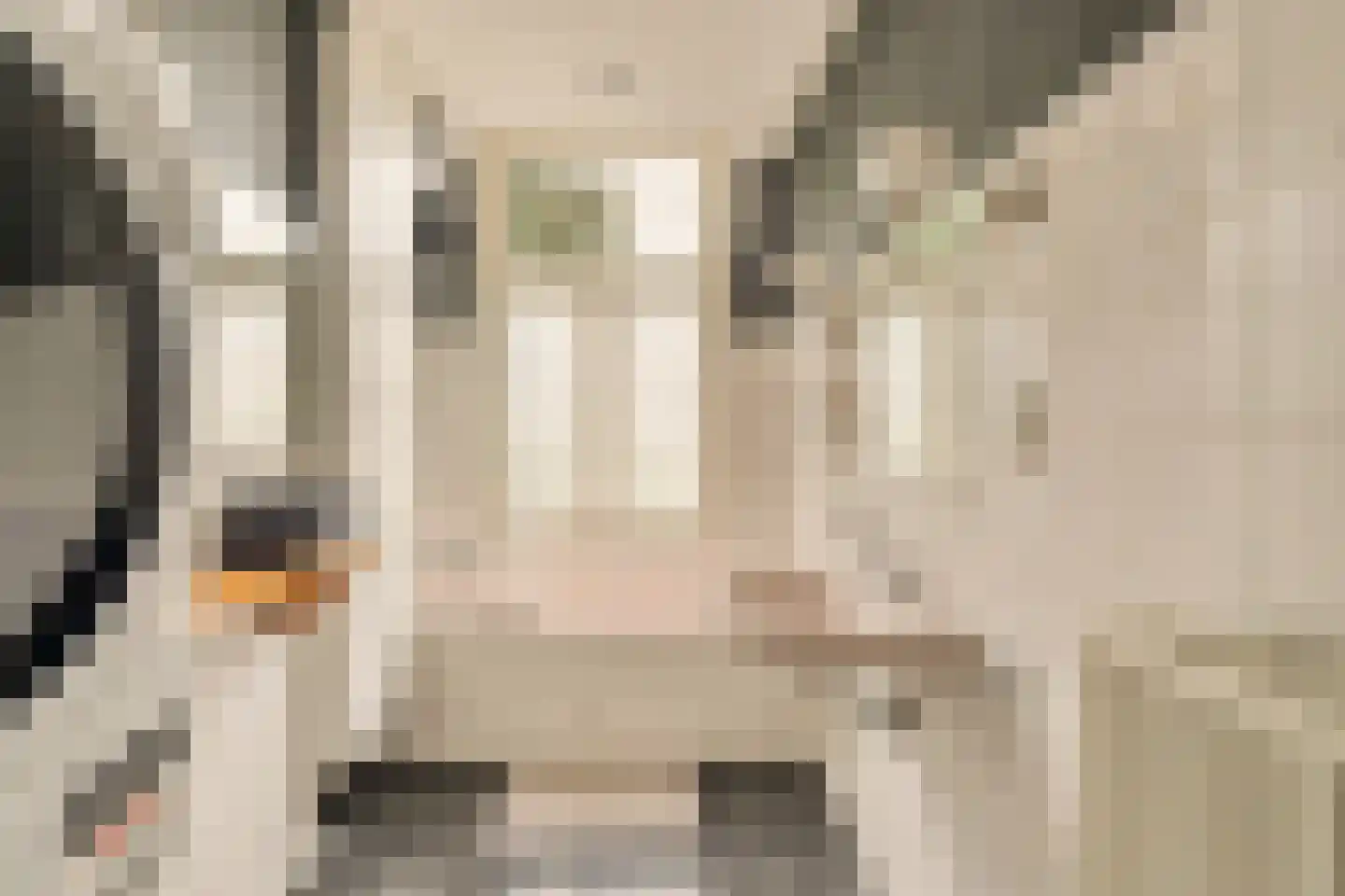 Nassaukade 41 3 Amsterdam thumbnail 19