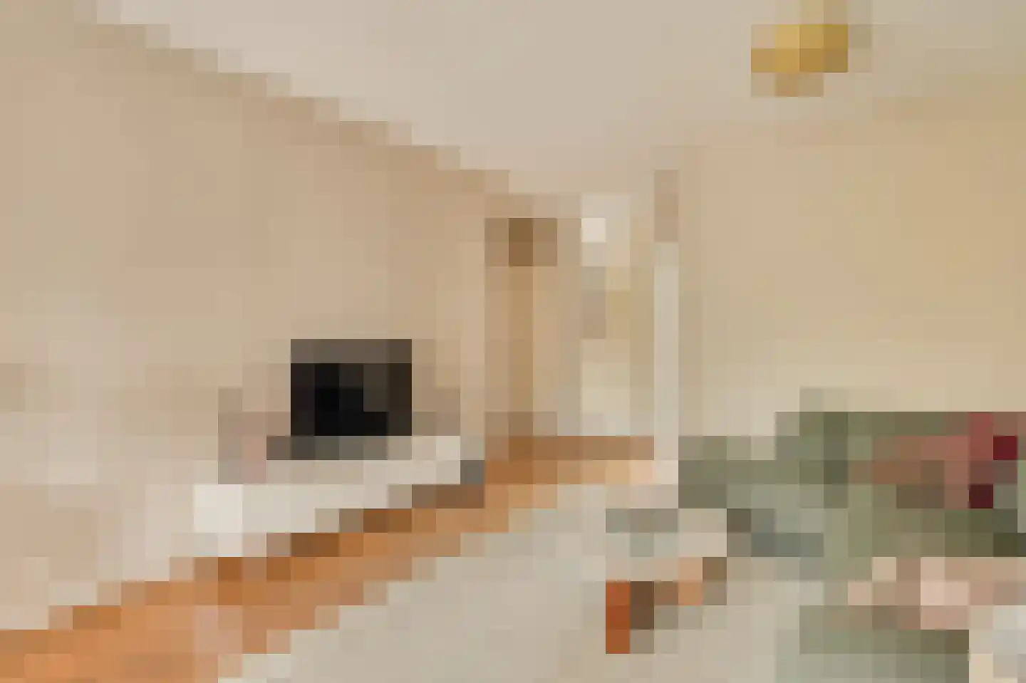 Nassaukade 41 3 Amsterdam thumbnail 5