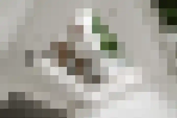 Nassaukade 42 1 Amsterdam thumbnail 10