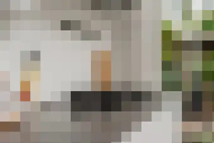 Nassaukade 42 1 Amsterdam thumbnail 16