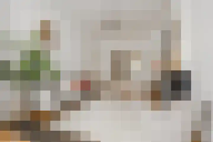 Nassaukade 42 1 Amsterdam thumbnail 24