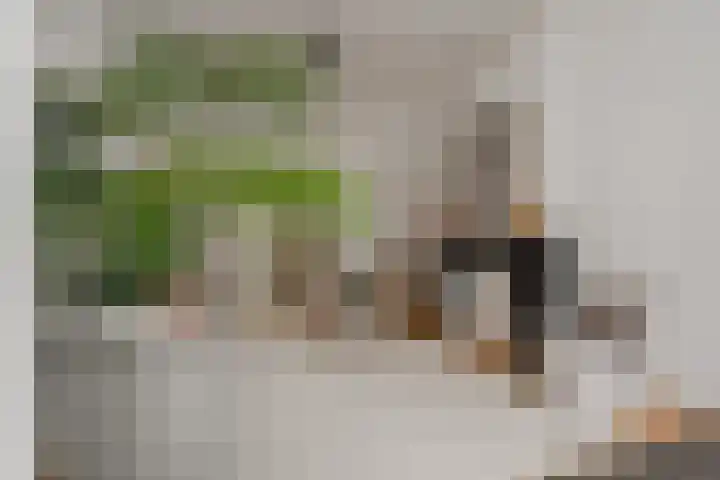 Nassaukade 42 1 Amsterdam thumbnail 25