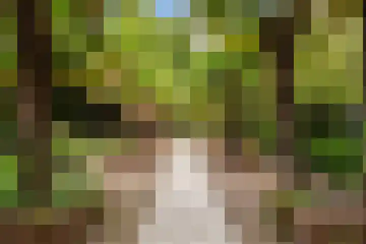 Nassaukade 42 1 Amsterdam thumbnail 4