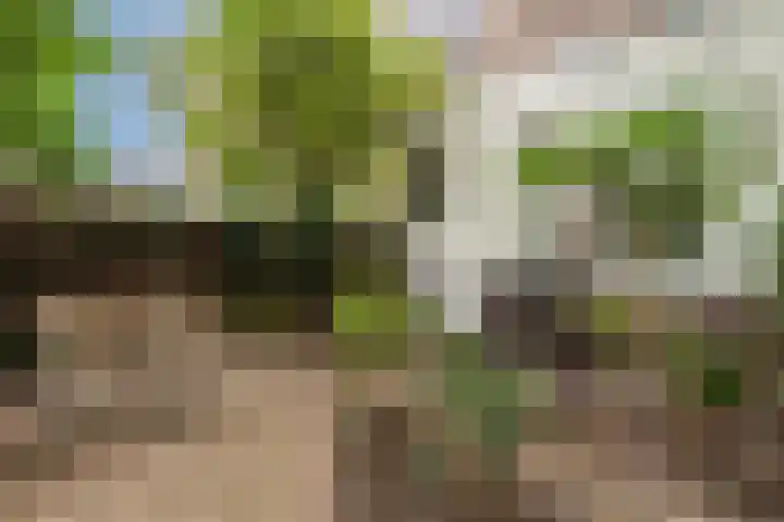 Nassaukade 42 1 Amsterdam thumbnail 46