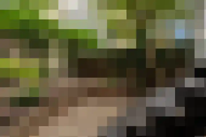 Nassaukade 42 1 Amsterdam thumbnail 47