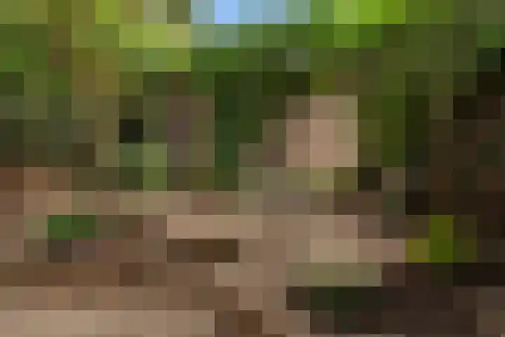 Nassaukade 42 1 Amsterdam thumbnail 48
