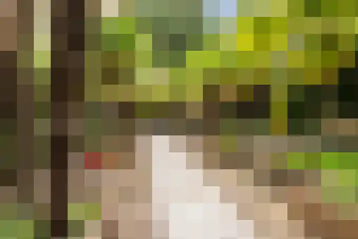 Nassaukade 42 1 Amsterdam thumbnail 49
