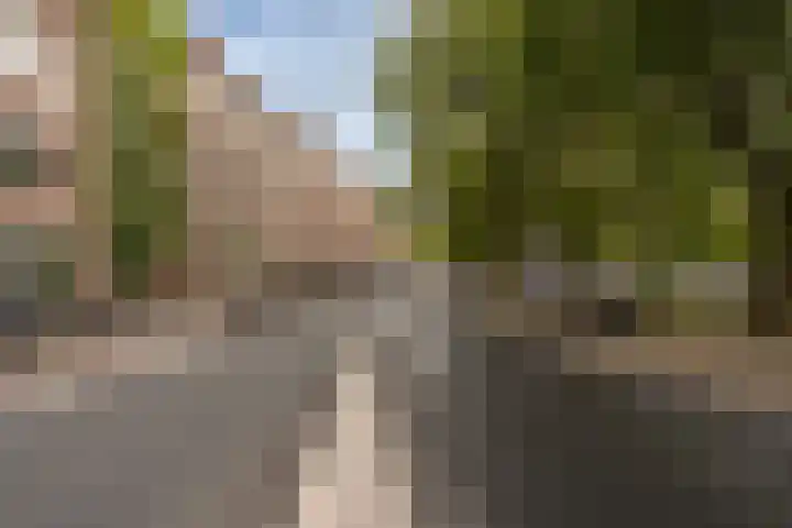 Nassaukade 42 1 Amsterdam thumbnail 52