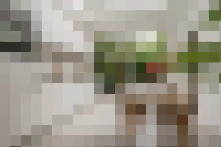 Nassaukade 42 1 Amsterdam thumbnail 8
