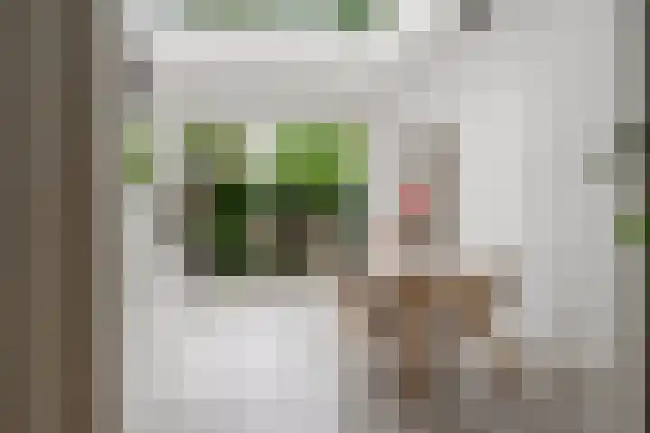 Nassaukade 42 1 Amsterdam thumbnail 9