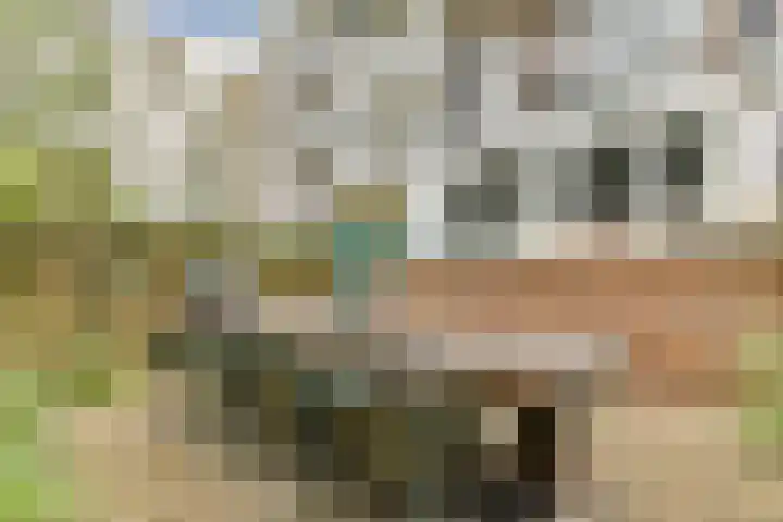 Nassaukade 56 H Amsterdam thumbnail 16