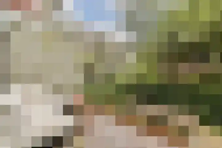 Nassaukade 56 H Amsterdam thumbnail 17