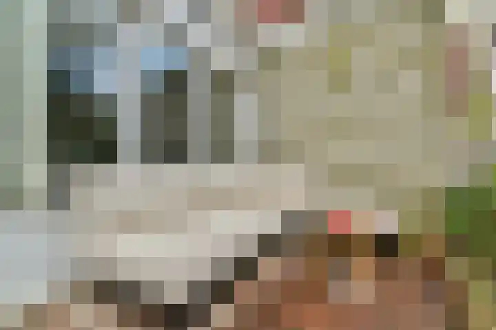 Nassaukade 56 H Amsterdam thumbnail 18