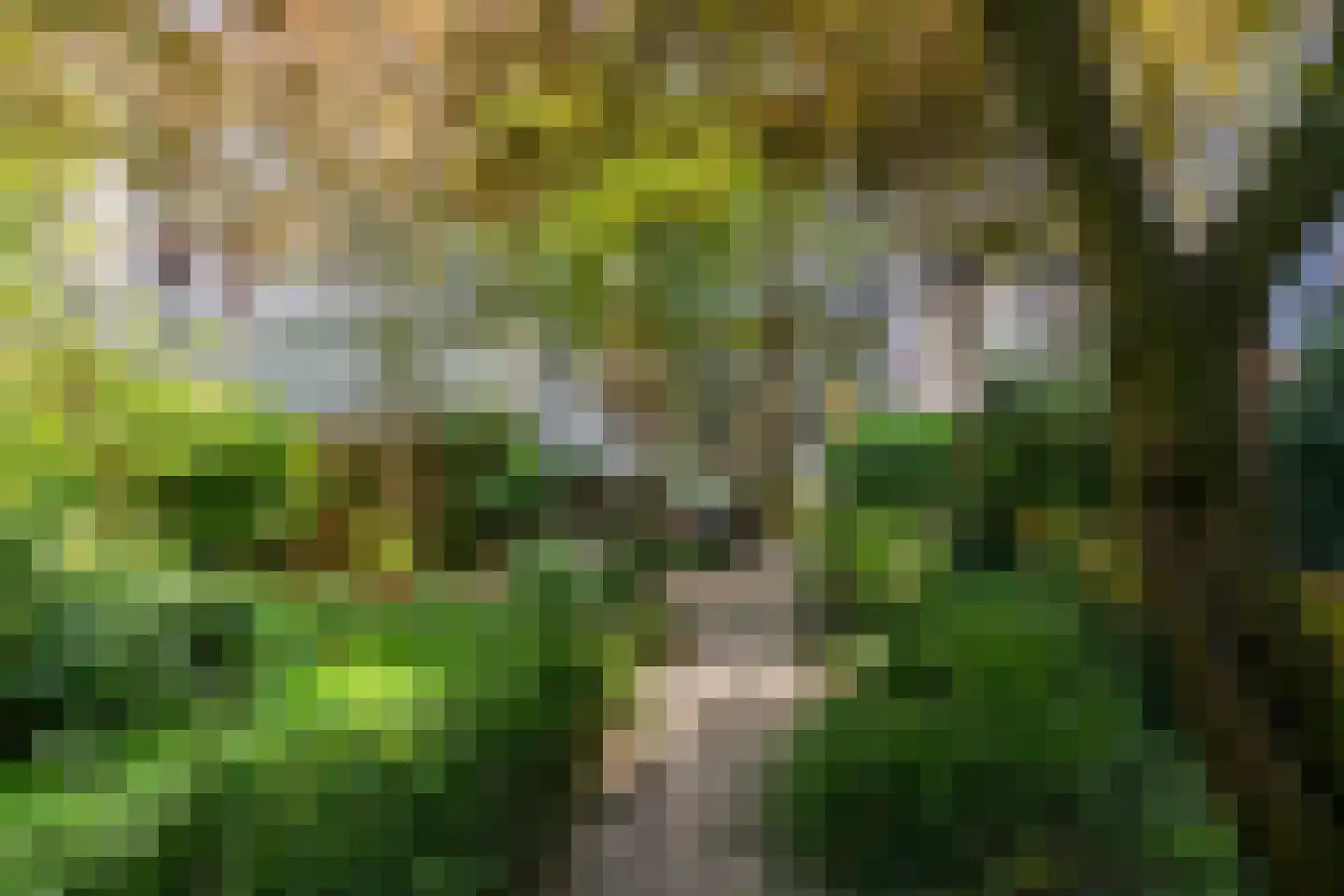 Nassaukade 57 A 1 Amsterdam thumbnail 31