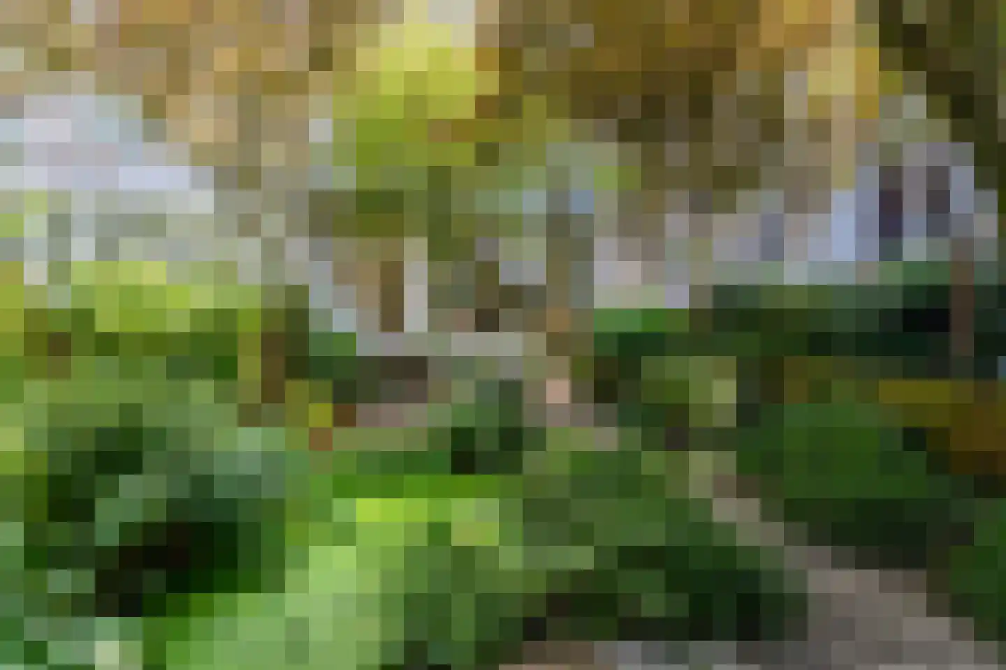 Nassaukade 57 A 1 Amsterdam thumbnail 32