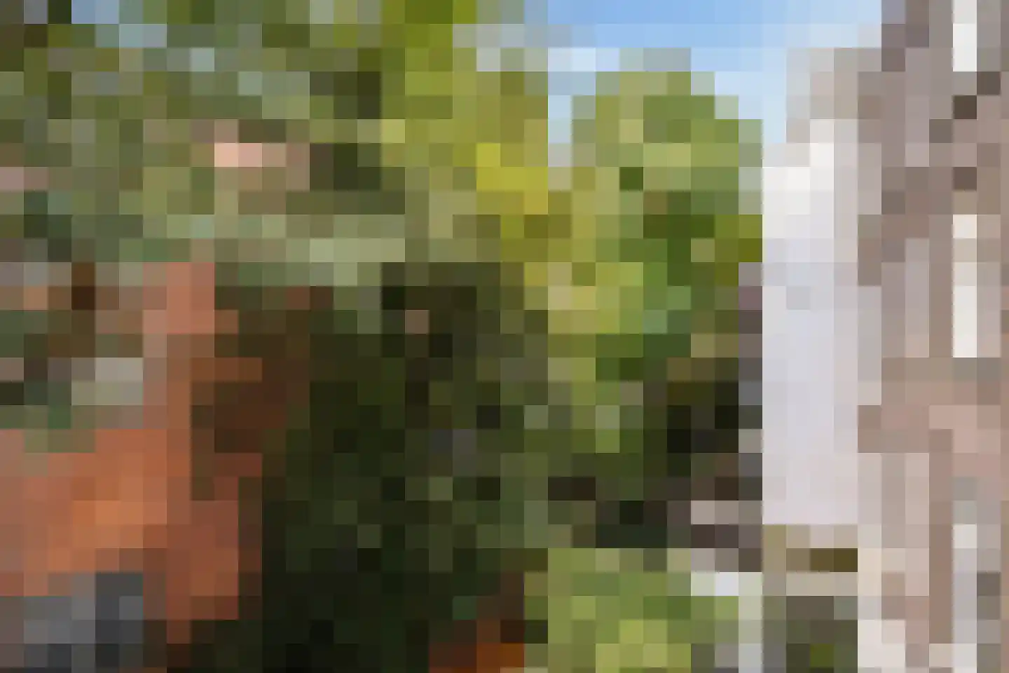 Nassaukade 6 2 Amsterdam thumbnail 21