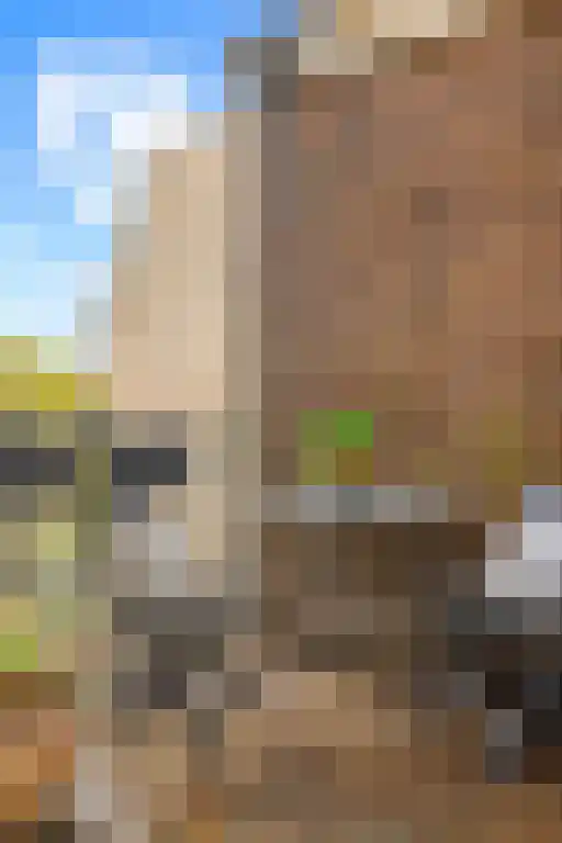 Nassaukade 70 3 Amsterdam thumbnail 12