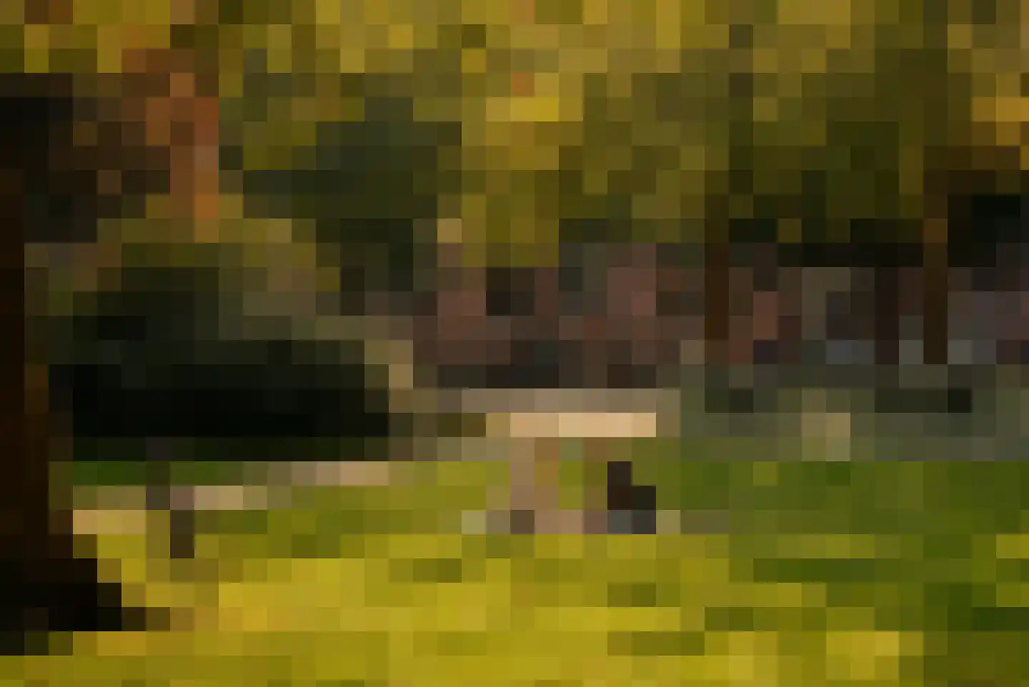 Nassaukade 70 3 Amsterdam thumbnail 35