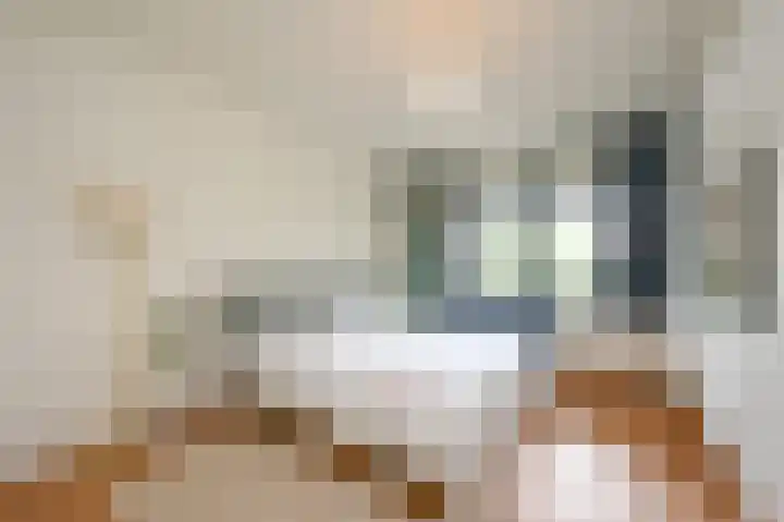 Nassaukade 85 Rijswijk thumbnail 15