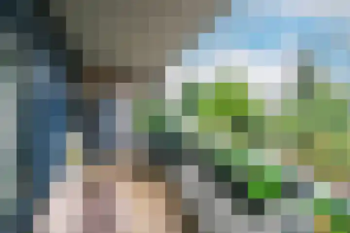 Nassaukade 85 Rijswijk thumbnail 21