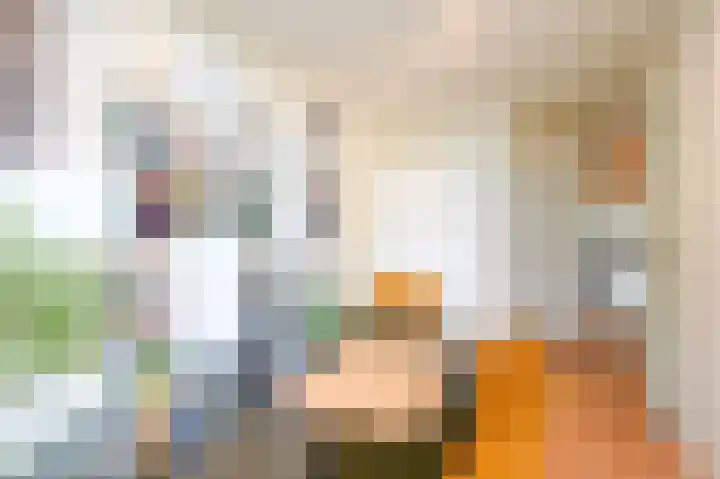 Nassaukade 85 Rijswijk thumbnail 23