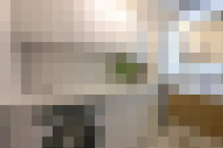 Nassaukade 85 Rijswijk thumbnail 24
