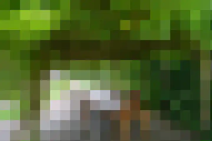 Nassaukade 85 Rijswijk thumbnail 28