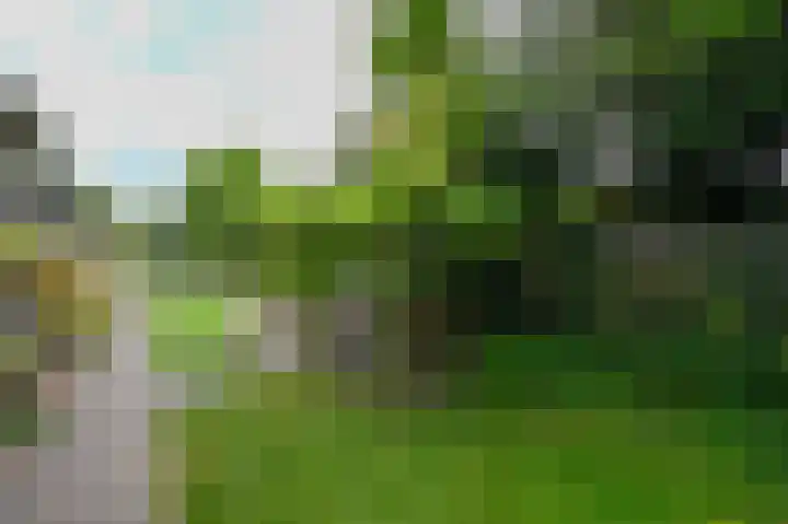 Nassaukade 85 Rijswijk thumbnail 31
