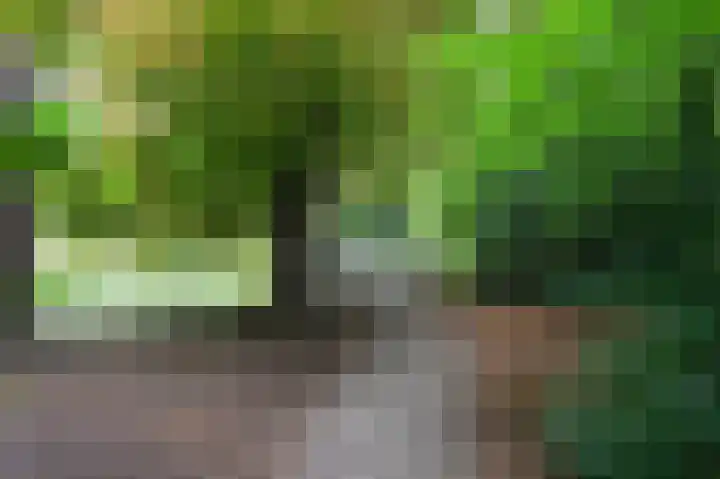 Nassaukade 85 Rijswijk thumbnail 45