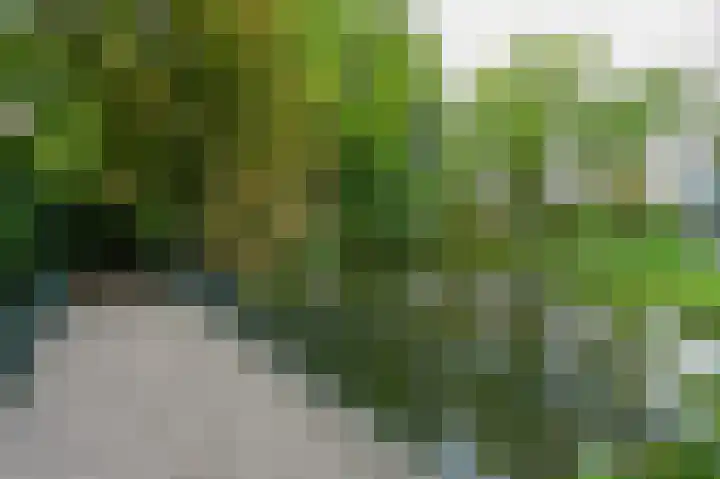 Nassaukade 85 Rijswijk thumbnail 46