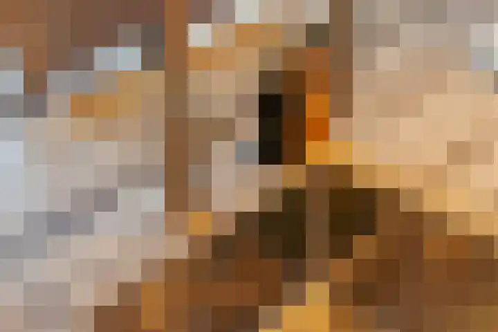 Nassaukade 89 3A Amsterdam thumbnail 15