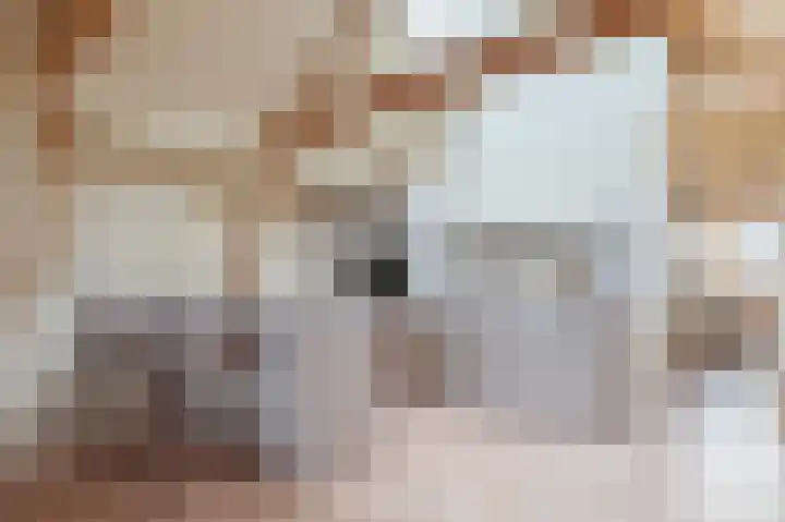 Nassaukade 89 4 Amsterdam thumbnail 14