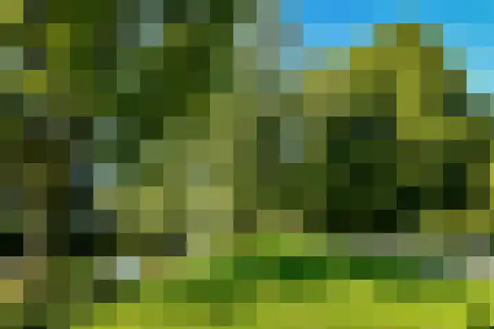 Nassaukade 9 2 Amsterdam thumbnail 22