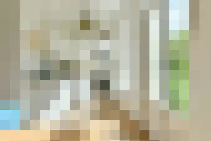 Nassaukade 9 2 Amsterdam thumbnail 4