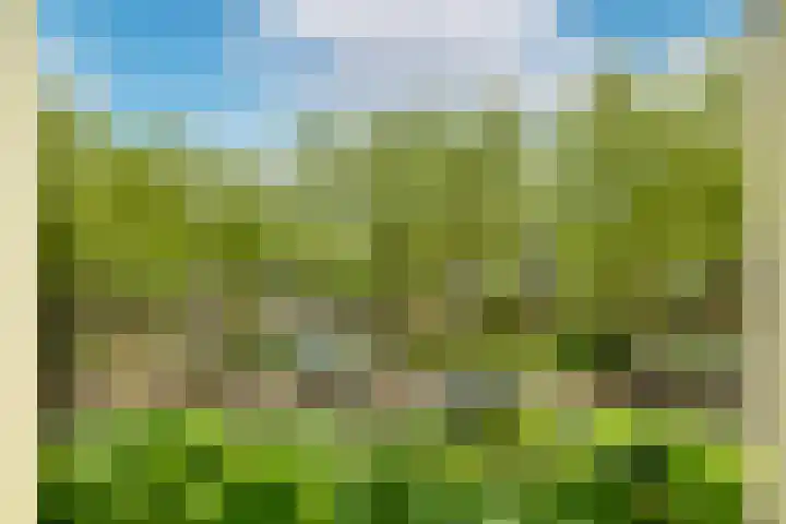 Nassaukade 9 2 Amsterdam thumbnail 5