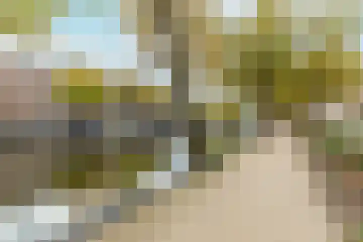 Nassaukade 93 3 Amsterdam thumbnail 39
