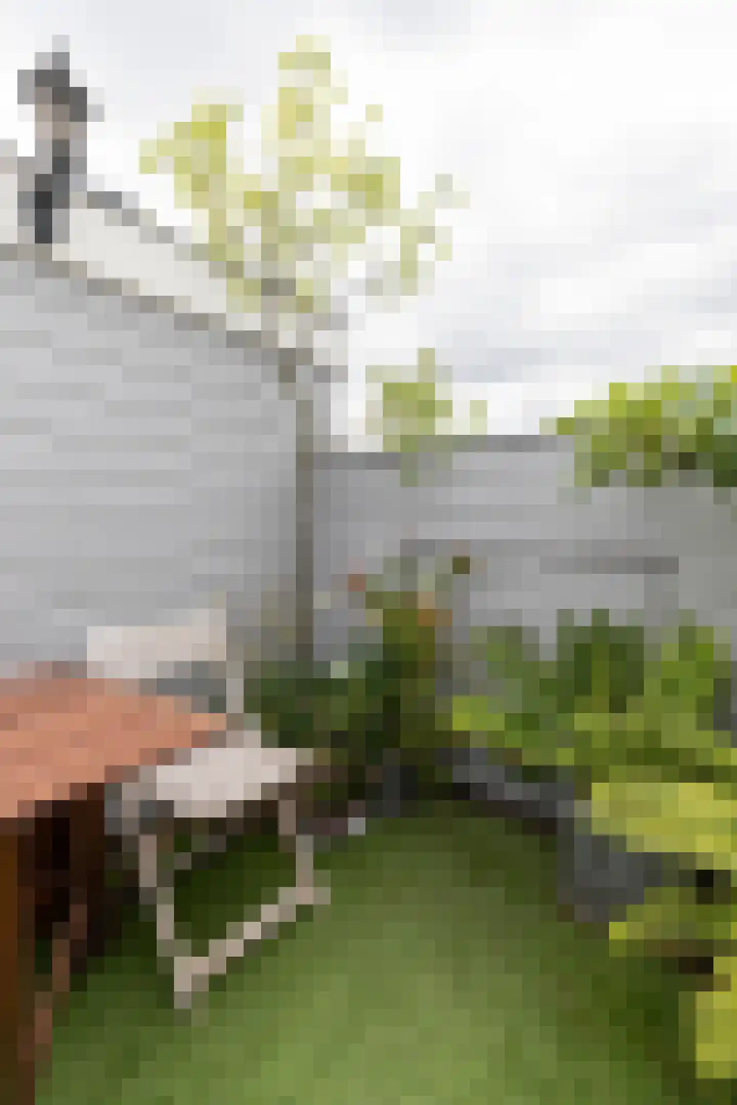 Nassaukade 93 4 Amsterdam thumbnail 18