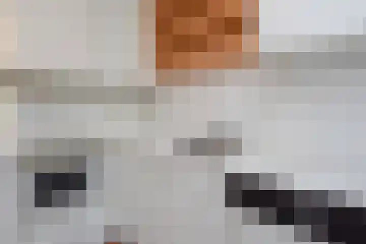 Nassaukade 94 Rijswijk thumbnail 11