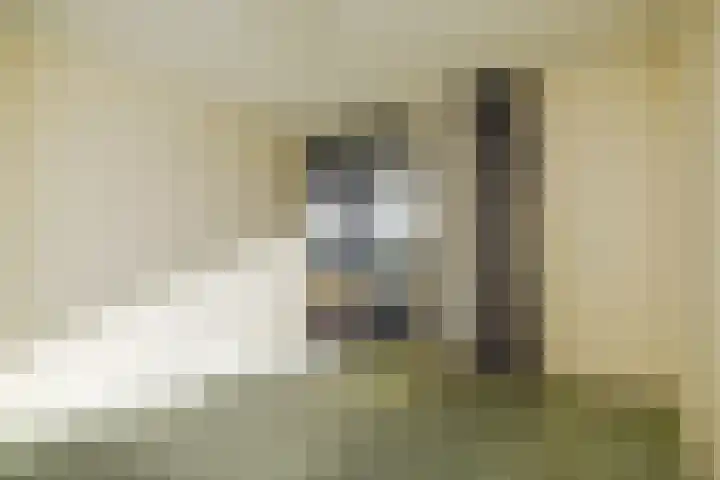 Nassaukade 94 Rijswijk thumbnail 14