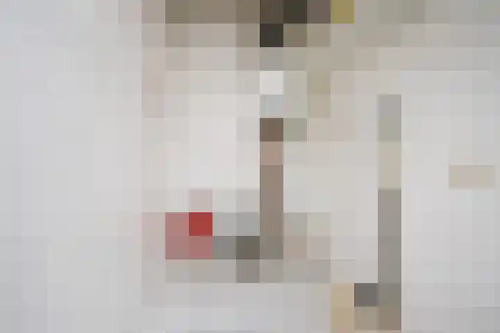 Nassaukade 94 Rijswijk thumbnail 20