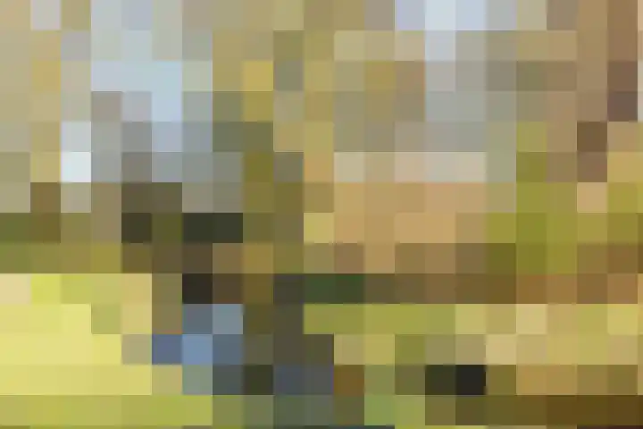 Nassaukade 94 Rijswijk thumbnail 32
