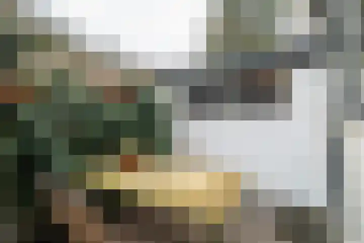 Nassaulaan 1 Groningen thumbnail 29