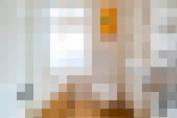 Nassaulaan 1 Groningen thumbnail 45