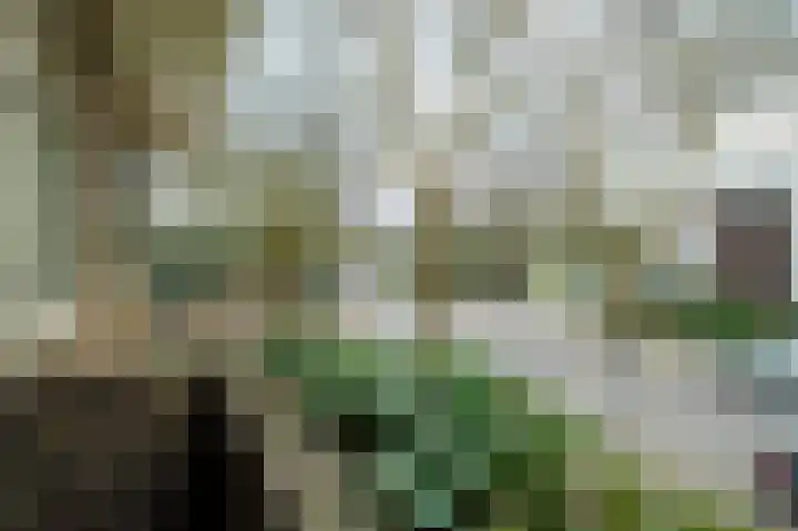 Nassaulaan 1 Groningen thumbnail 5