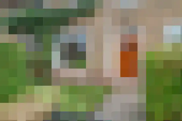Nassaulaan 1 Groningen thumbnail 58