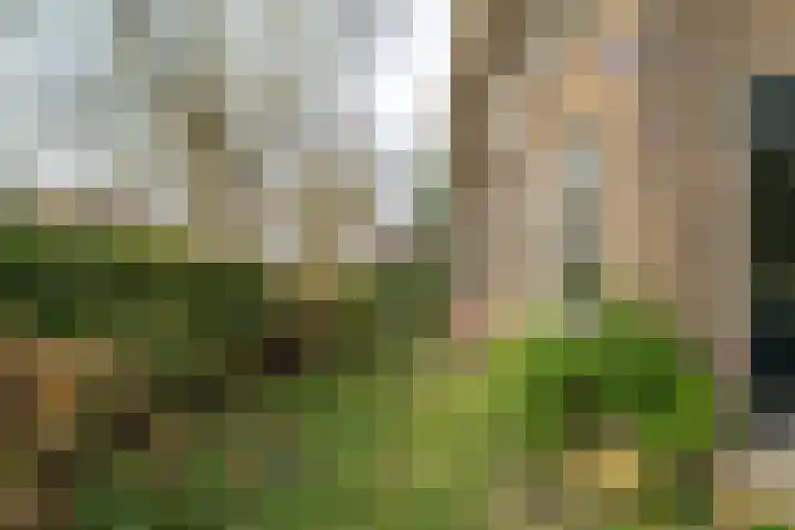 Nassaulaan 1 Groningen thumbnail 59