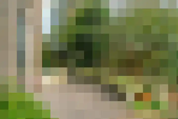 Nassaulaan 1 Groningen thumbnail 63