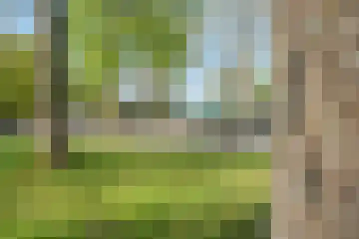 Nassaulaan 1 Groningen thumbnail 70