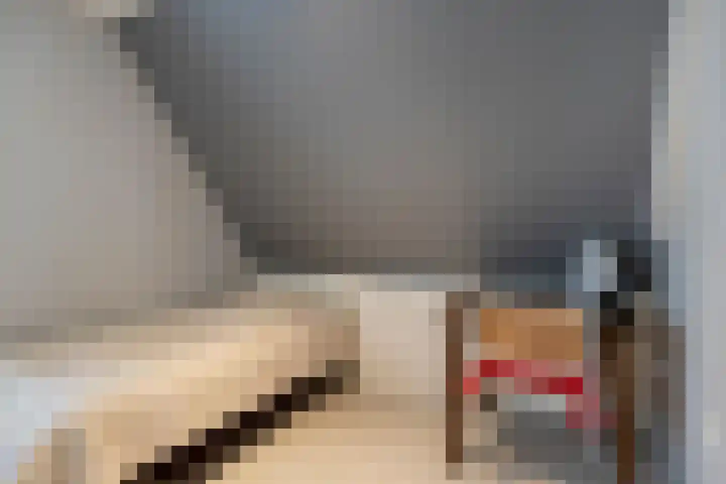 Nassaulaan 1 Steenbergen thumbnail 28