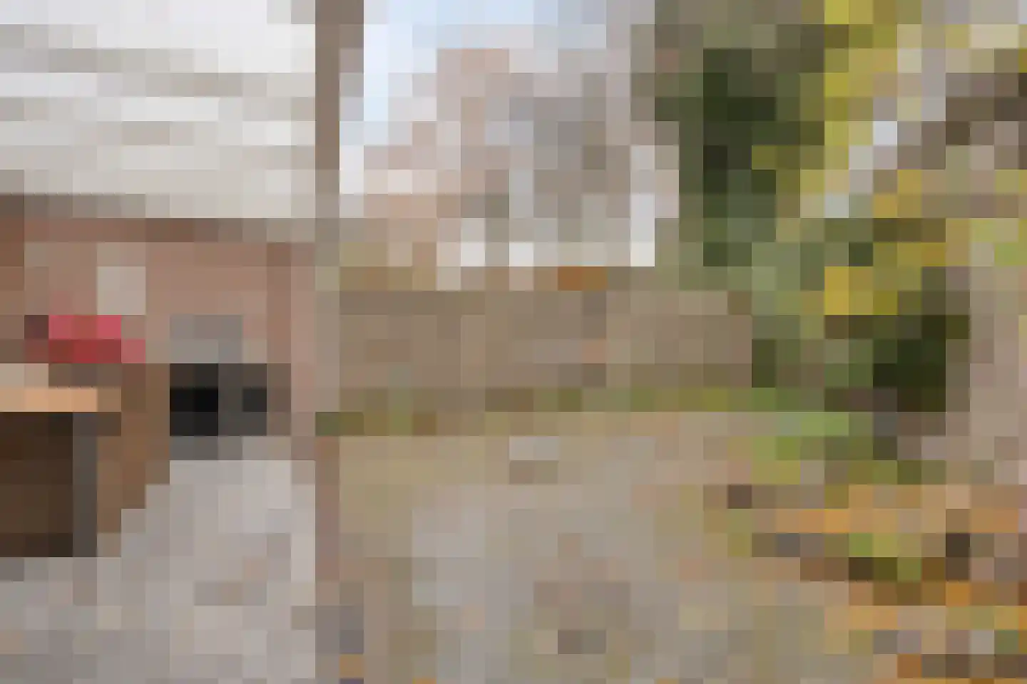 Nassaulaan 1 Steenbergen thumbnail 33